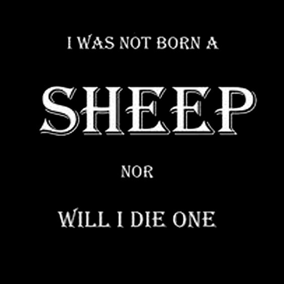 I WAS NOT BORN A SHEEP Men's T-shirt